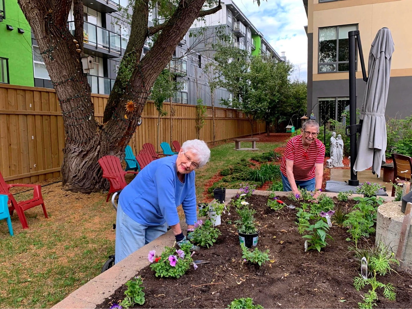 Featured image for “Assisted Living”